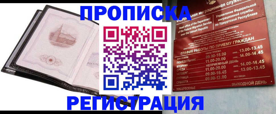 прописка 2025 в Елизово